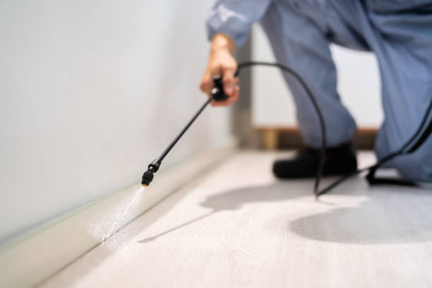Professional exterminator conducting IPM assessment in Ogden
